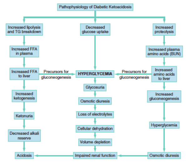 diabetic-ketoacidosis-dka-core-em