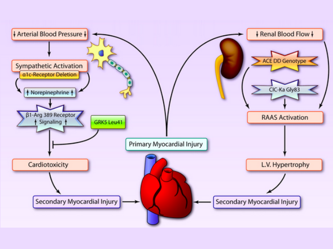 Episode 71.0 – Acute Pulmonary Edema – Core EM