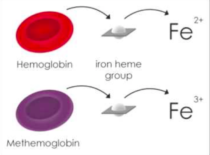 Methemoglobin คือ อะไร