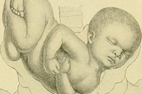 image provided by Internet Archive Book Images flickr.com/photos/internetarchivebookimages/