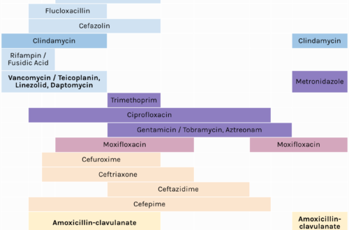 Icu Antibiotic Chart