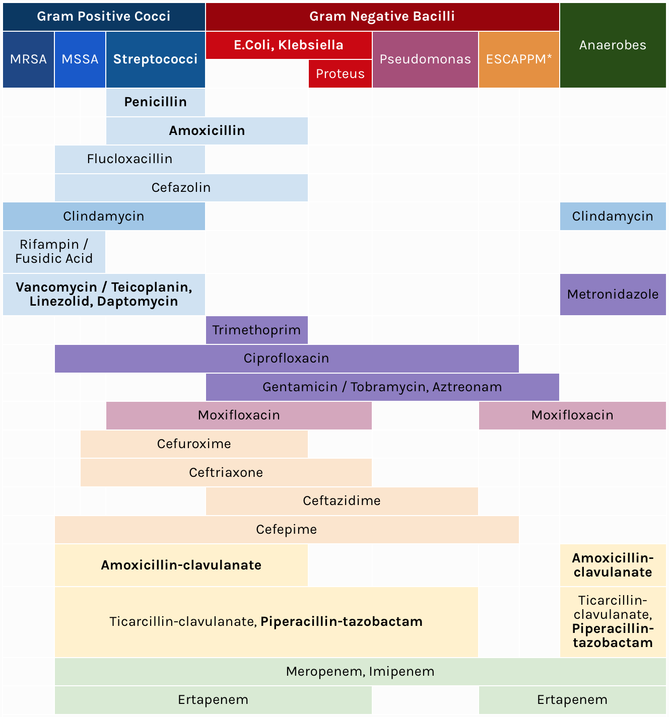 ceftriaxone gram negative rods