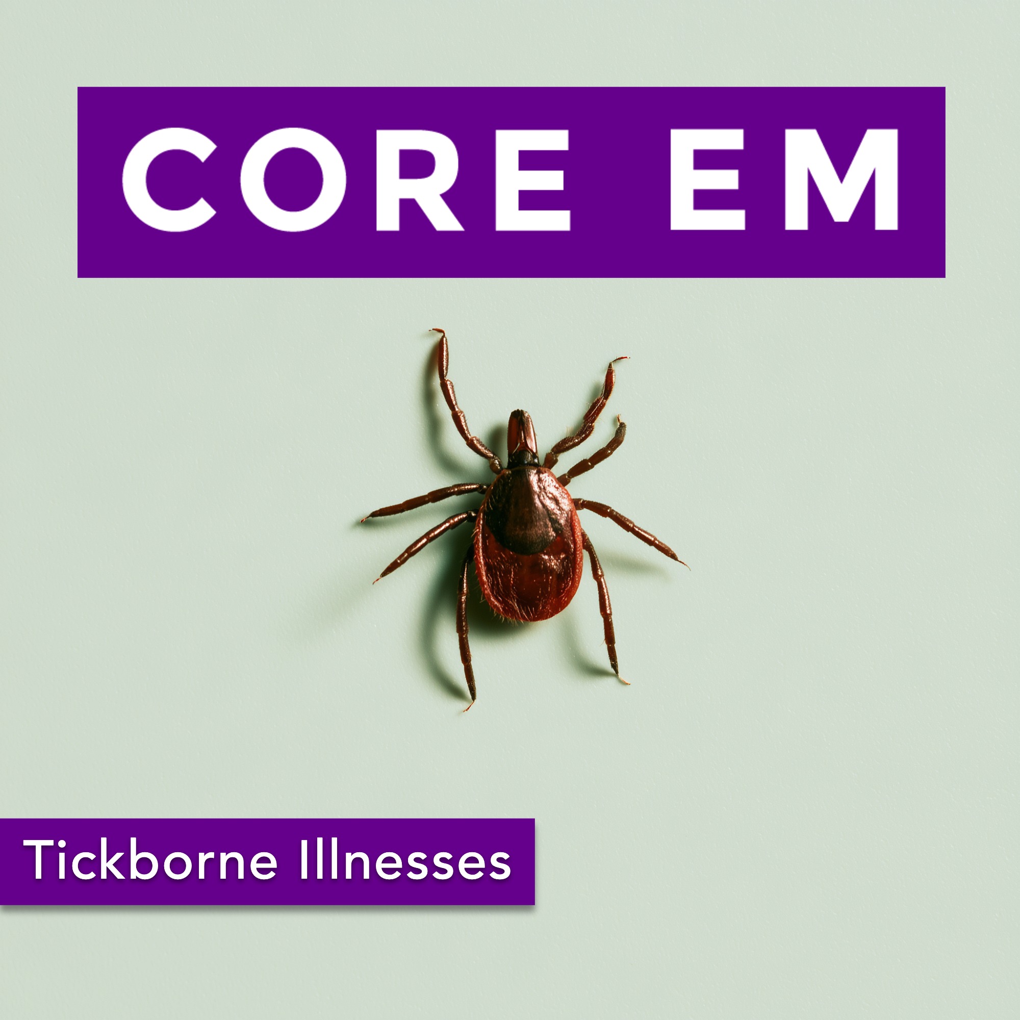Core EM Episode 228: Tickborne Illnesses